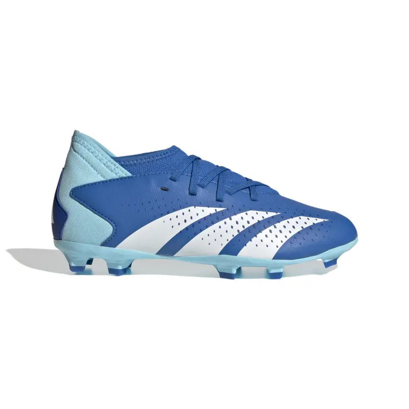 Adidas Predator Accuracy.3 FG Jr (Blue/White) Merchandise Photo